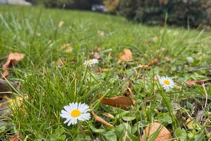 Lager In Asperg Untermiete Sharing Versand Service zimmer