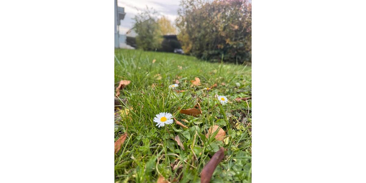 Lager In Asperg Untermiete Sharing Versand Service zimmer