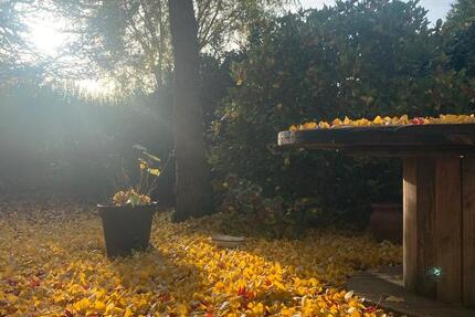 Zimmer zur Untermiete 1 zimmer