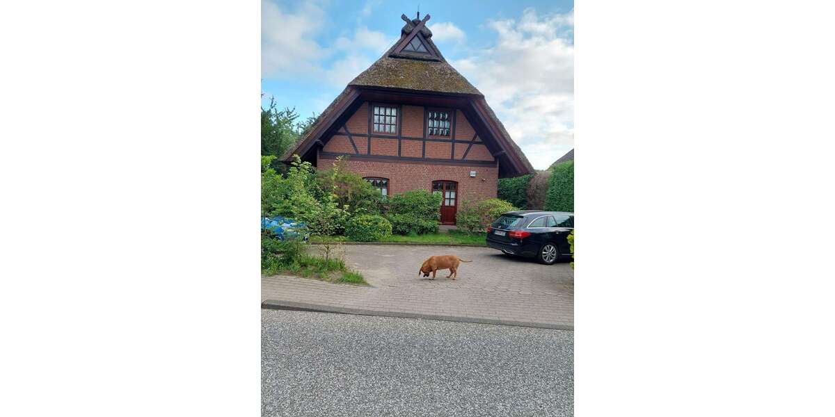 Etagenwohnung Hamburg Altengamme - 2 Zimmer, 75 m&sup2;, 890&euro; | Angebot:27032200