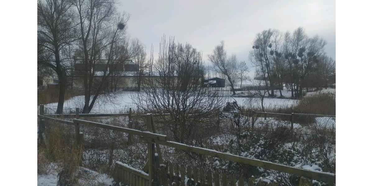 2 Zimmer Wohnung zu vermieten 47m² in 17335 Rosenthal b Strasburg 2 zimmer