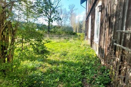 Haus Willebadessen - 9 Zimmer, 300 m&sup2;, 500&euro; | Angebot:26606916