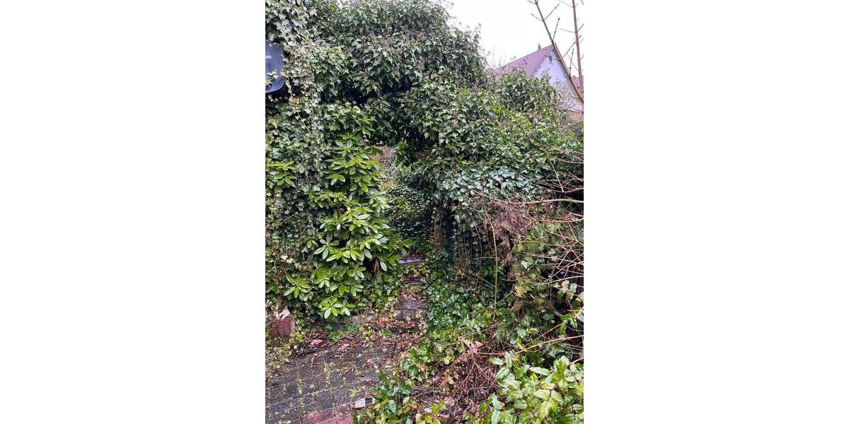 Etagenwohnung Niederaula - 4 Zimmer, 90 m&sup2;, 650&euro; | Angebot:25944222