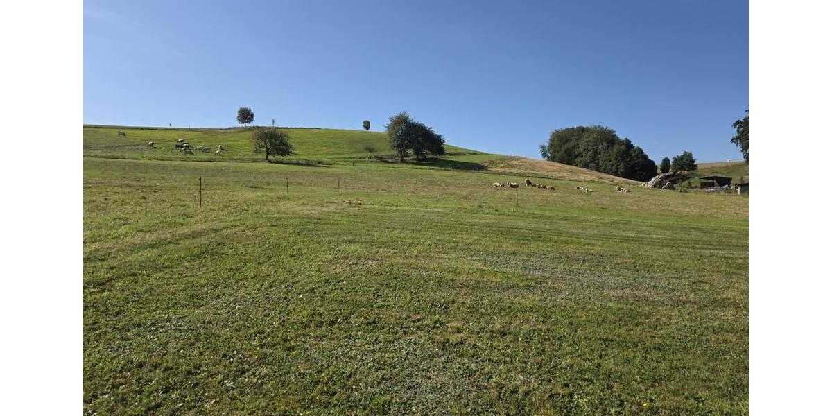 Etagenwohnung Roßwein - 2 Zimmer, 49 m&sup2;, 199&euro; | Angebot:24334589