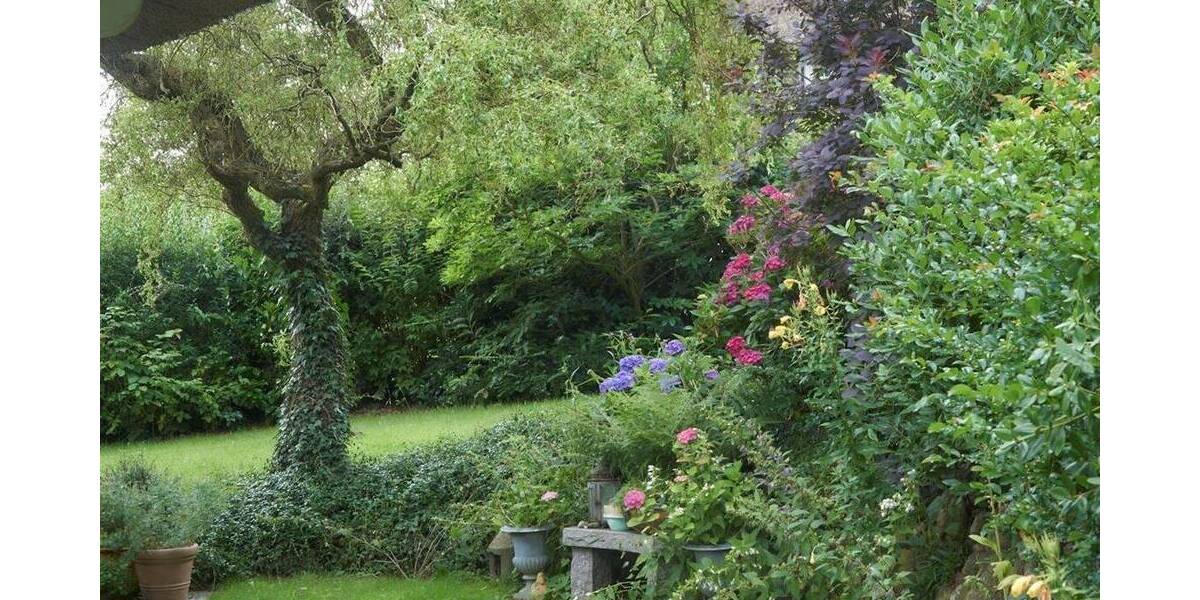 Traumhaus unter Reet! Repräsentatives Wohnhaus in Top Lage der Wingst zu vermieten. 6 zimmer