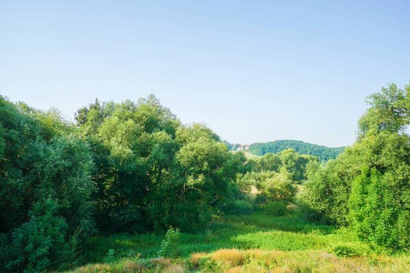 Wohnung zum Mieten in Jena 1.360 € 94.55 m² 4 zimmer