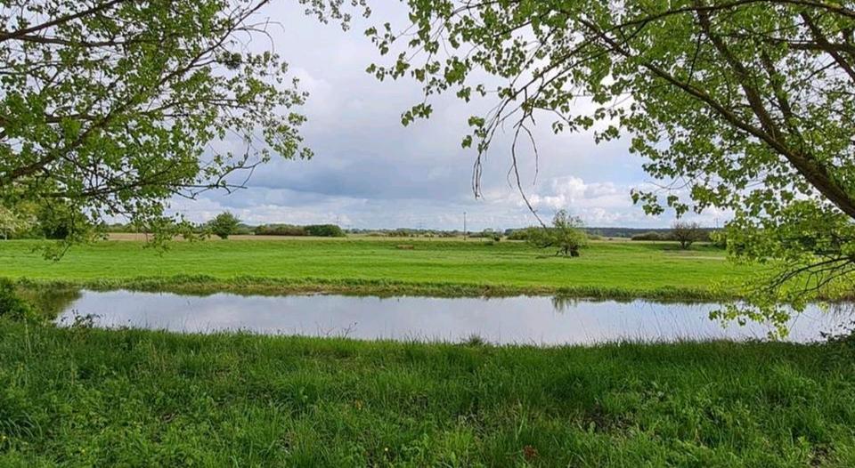 Etagenwohnung Seehausen (Altmark) - 3 Zimmer, 70 m&sup2;, 350&euro; | Angebot:24919520