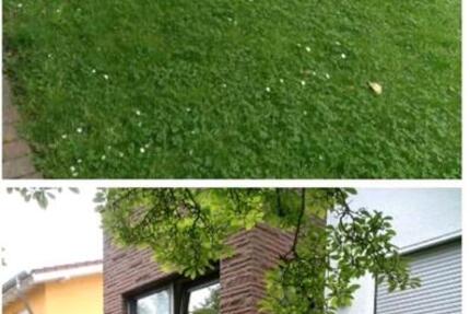 Wohnung Bad Eilsen - 4.5 Zimmer, 108 m&sup2;, 1.310&euro; | Angebot:25131479