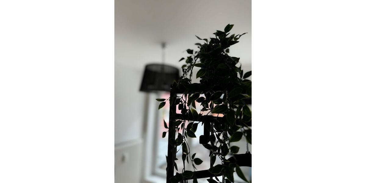 Wohnen auf Zeit Haag an der Amper Inkofen - 10 Zimmer, 160 m&sup2;, 22&euro; | Angebot:25233144