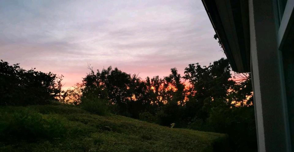 renovierte 2 R Wohnung 2 zimmer