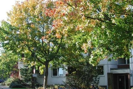 Wohnung Kiel Schreventeich - 3 Zimmer, 83 m&sup2;, 731&euro; | Angebot:25228385