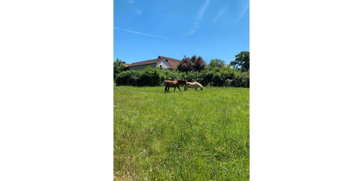 Gewerbeobjekt Otzberg - 20 Zimmer, 9 m&sup2;, 1.445&euro; | Angebot:25369595