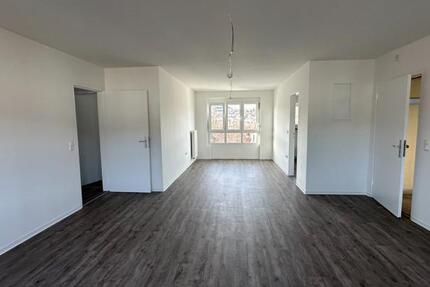 EG 3 Zimmer ab Januar (frisch saniert) 3 zimmer