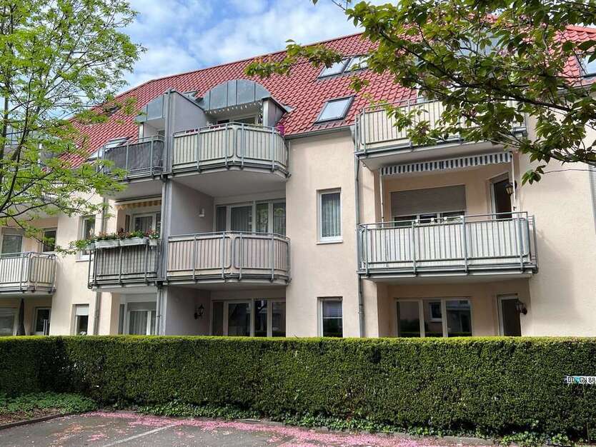 Wohnung zum Mieten in Dresden 450 € 51.8 m²