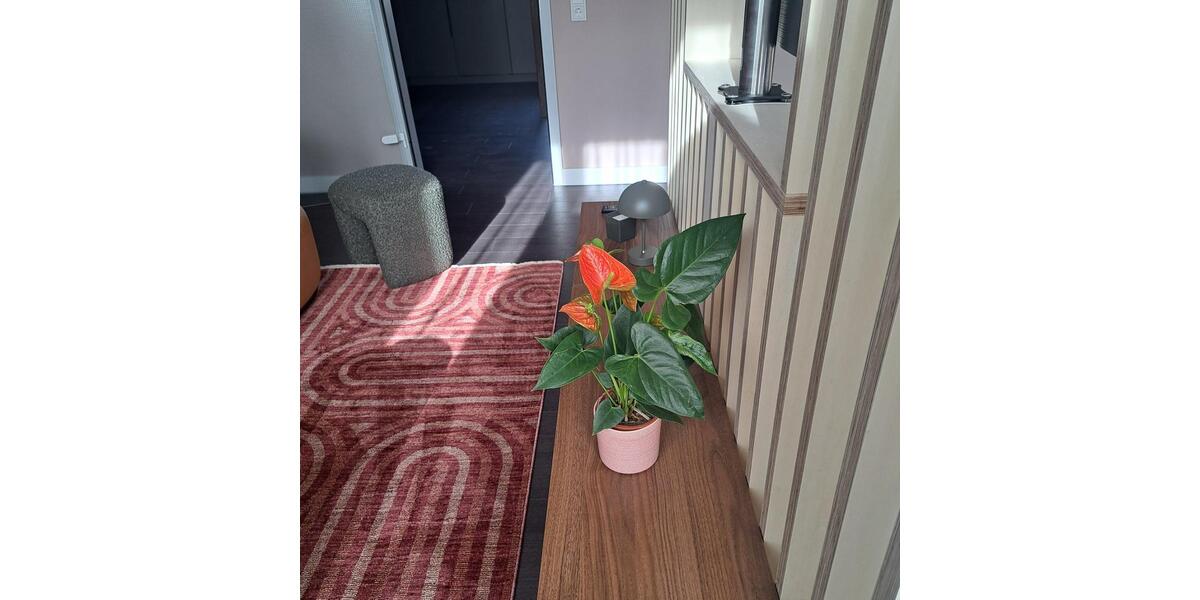 Wohnen auf Zeit Schwerin Gartenstadt - 2 Zimmer, 54 m&sup2;, 1.400&euro; | Angebot:25842700