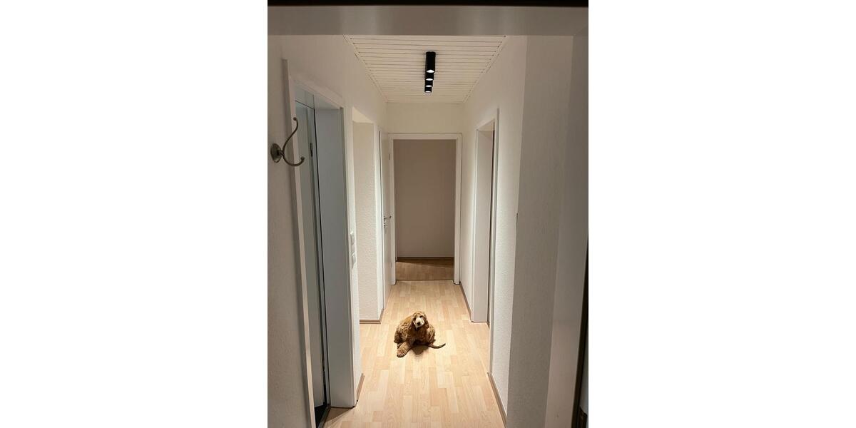 Wohnen auf Zeit Ludwigshafen am Rhein Edigheim - 1 Zimmer, 20 m&sup2;, 515&euro; | Angebot:26581250