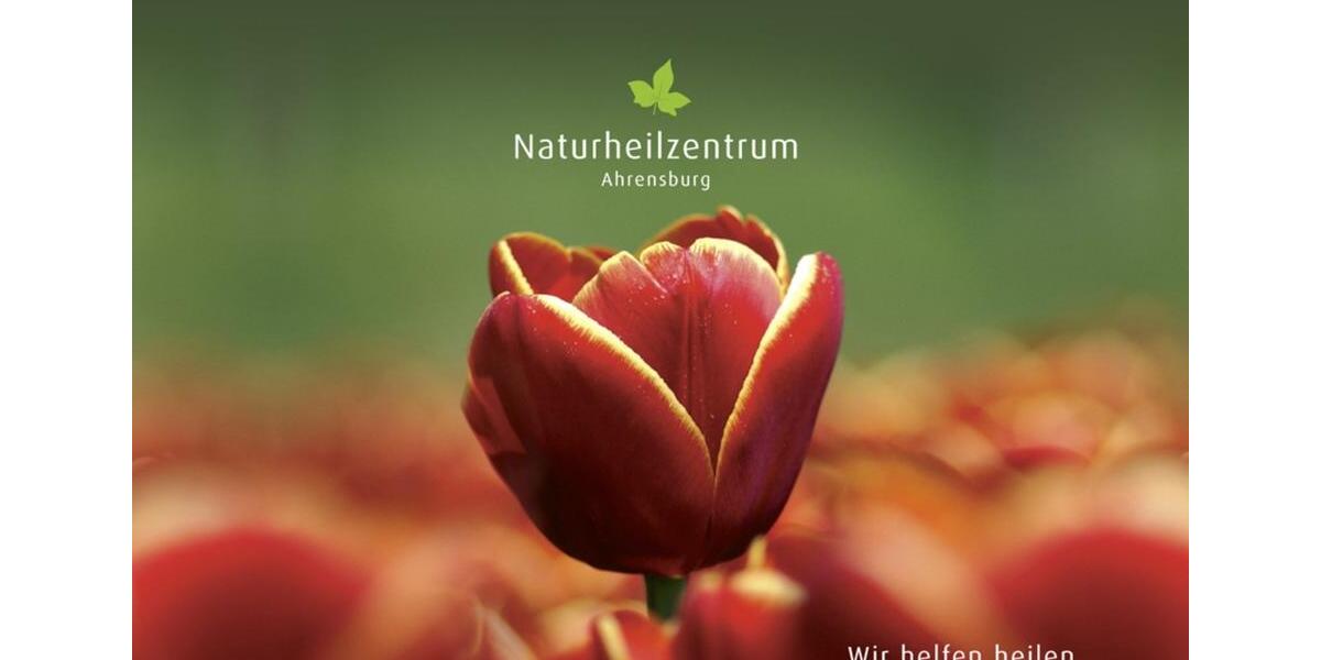 Gewerbeobjekt Ahrensburg - 300&euro; | Angebot:25658645