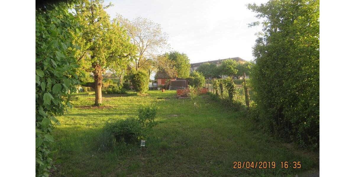 Einfamilienhaus Heilbronn Kernstadt - 2 Zimmer, 20 m&sup2;, 3.100&euro; | Angebot:25932091