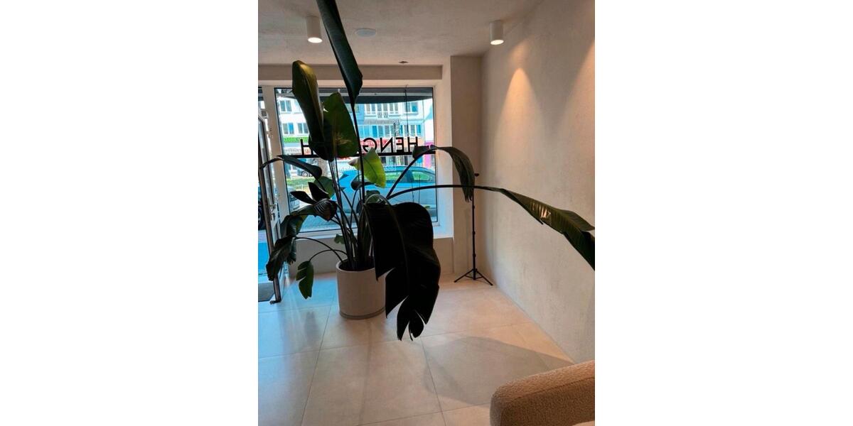 Gewerbeobjekt Köln Innenstadt - 800&euro; | Angebot:24576273