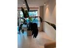Gewerbeobjekt Köln Innenstadt - 800&euro; | Angebot:24576273