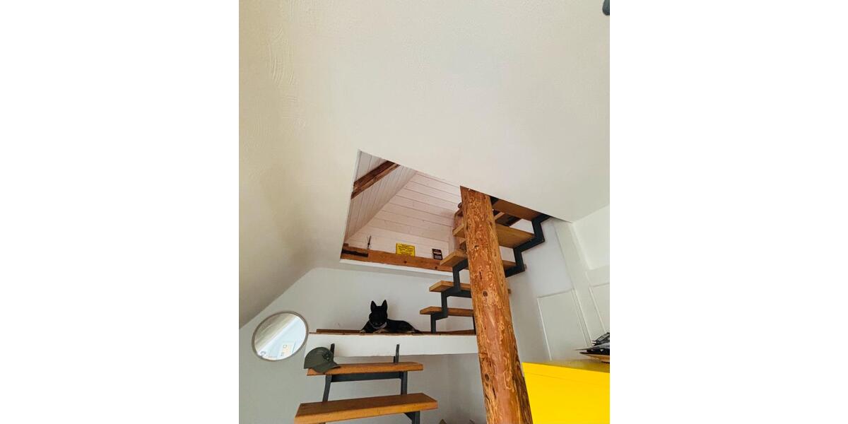 Einfamilienhaus Engelsbrand - 1 Zimmer, 90 m&sup2;, 900&euro; | Angebot:26490483