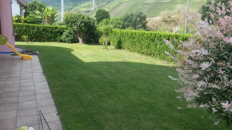 WG-Vermietung: Gepflegte, große Erdgeschoss Wohnung mit eigenem Garten 1 zimmer