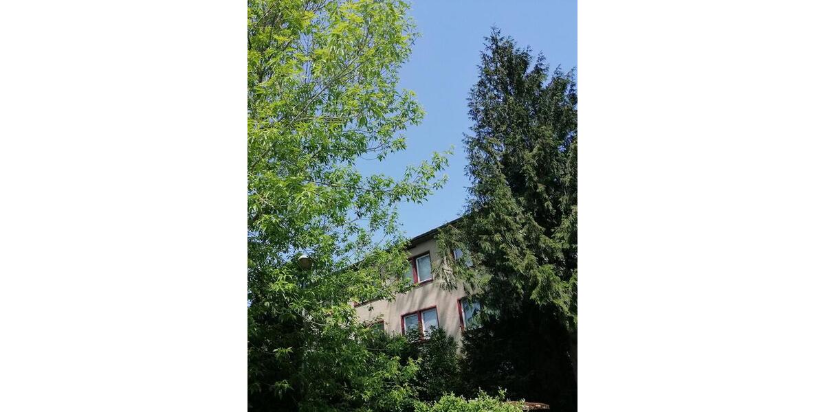 Mitbewohner:innen für spirituelles Zentrum in der Altmark 1 zimmer