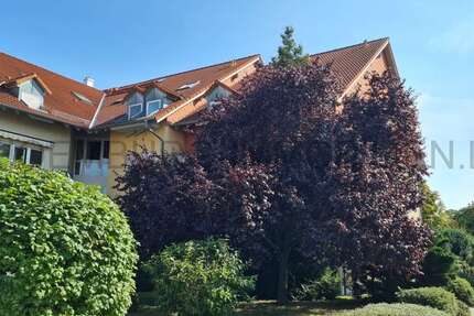 Wohnung Leipzig Burghausen-Rückmarsdorf - 1 Zimmer, 35 m&sup2;, 335&euro; | Angebot:25289719