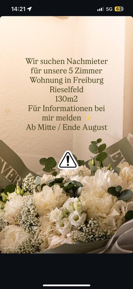 5 Zimmer Wohnung Freiburg Rieselfeld