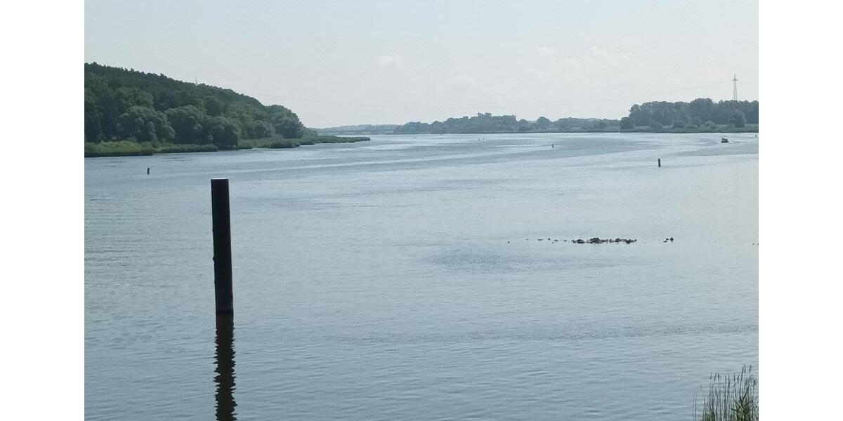 Terrassenwohnung, 3 Zimmer mit einzigartigem Blick über die Elbe 3 zimmer