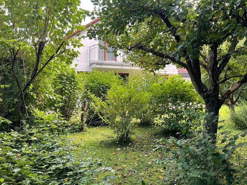 Einfamilienhaus in Toplage am Eselsberg zimmer