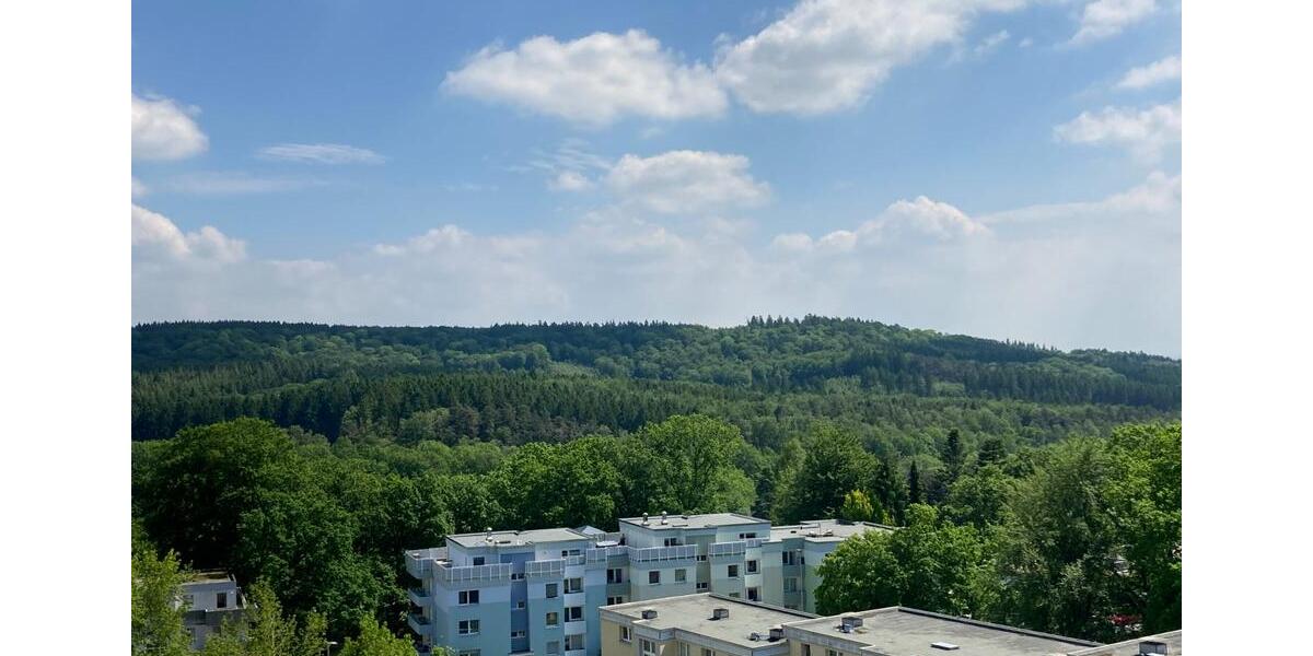 Sanierte 1-Zimmerwohnung in ruhiger und Wald naher Lage 1 zimmer