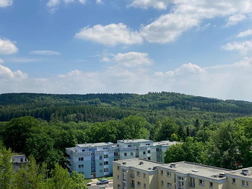 Sanierte 1-Zimmerwohnung in ruhiger und Wald naher Lage zimmer