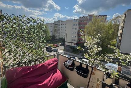 Wohnung Kassel - 1 Zimmer, 27 m&sup2;, 335&euro; | Angebot:26260762