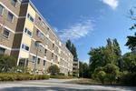 Etagenwohnung Laatzen - 3 Zimmer, 72 m&sup2;, 850&euro; | Angebot:26553839