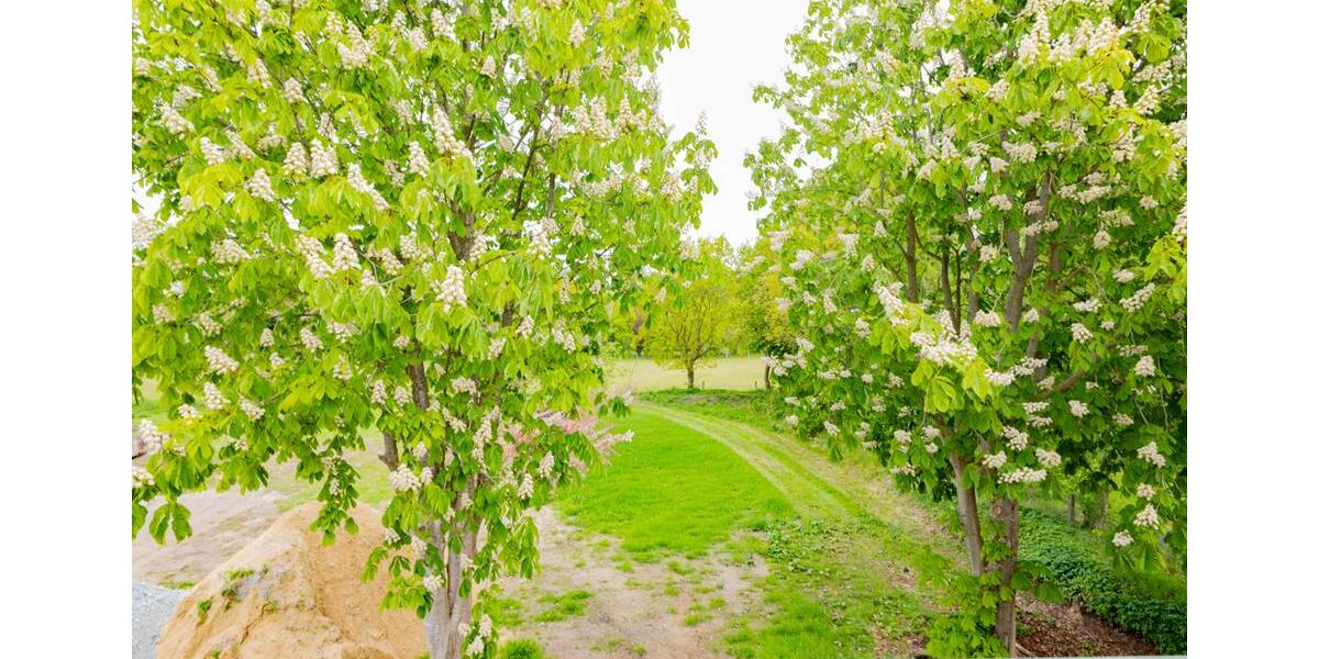 Dachgeschoßwohnung Weddingstedt - 2 Zimmer, 75 m&sup2;, 880&euro; | Angebot:26585915