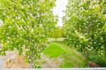 Dachgeschoßwohnung Weddingstedt - 2 Zimmer, 75 m&sup2;, 880&euro; | Angebot:26585915