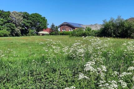 Helle Wohnung in Bordelum zu vermieten 5 zimmer