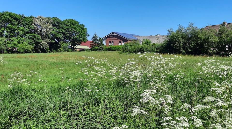 Helle Wohnung in Bordelum zu vermieten 5 zimmer