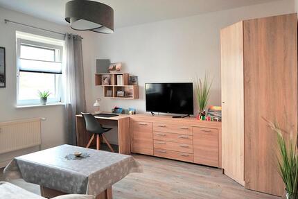 Wohnen auf Zeit für 1 Person in Rostocks City 1 zimmer