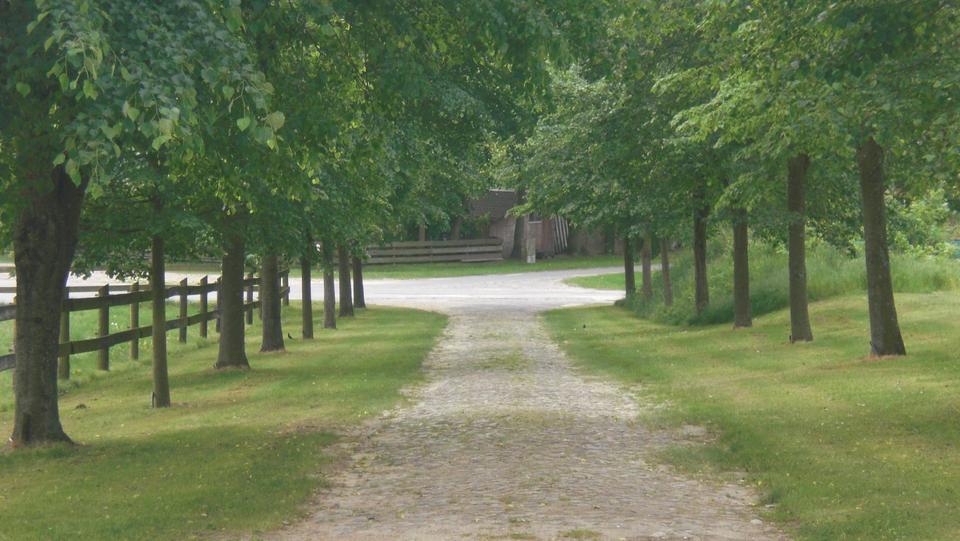 1,5 Zimmer-Wohnung an weibliche Person 1.5 zimmer