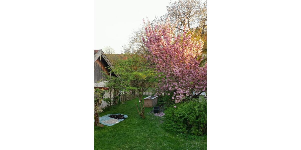 Zimmer mit eigenem Bad und geteiltem Balkon in Landhaus-6er-WG 8 zimmer