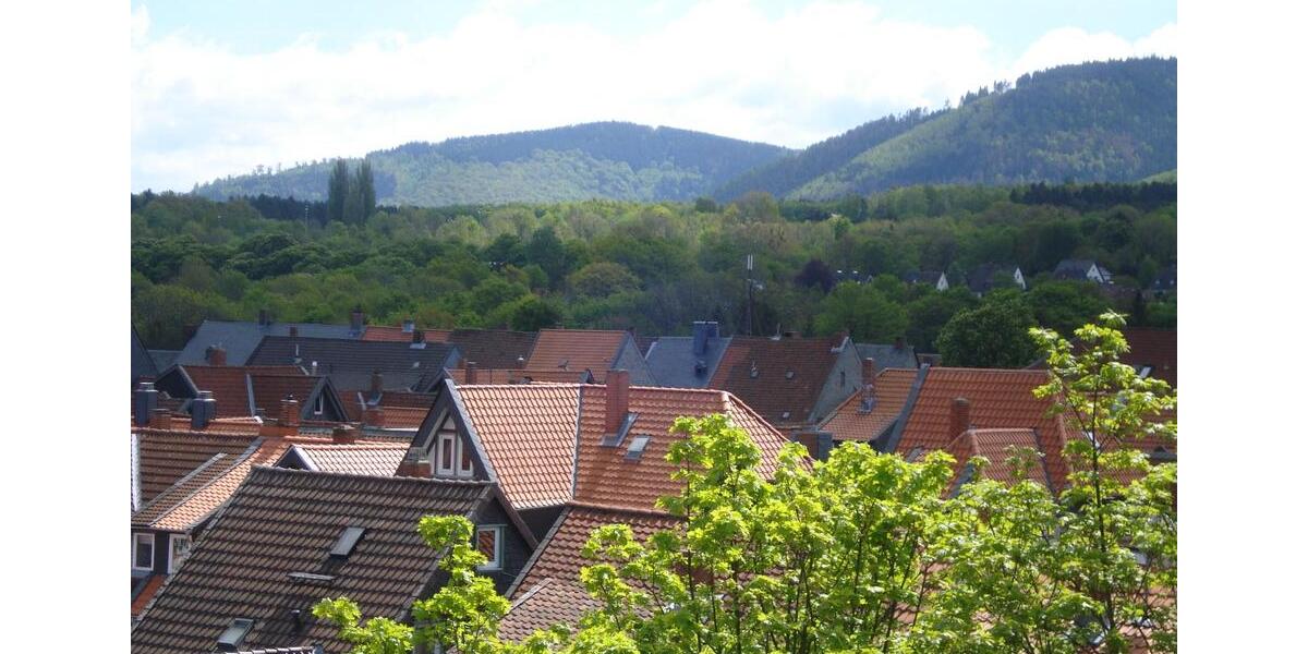 Dachgeschoßwohnung Goslar - 2 Zimmer, 520&euro; | Angebot:23394853