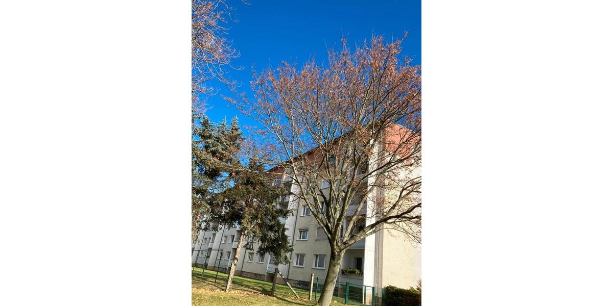 Etagenwohnung Oschatz - 3 Zimmer, 60 m&sup2;, 348&euro; | Angebot:24570063