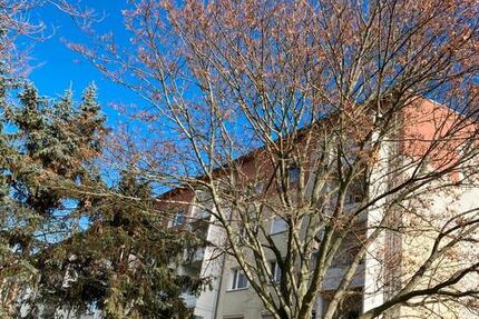 Wohnung Oschatz - 3 Zimmer, 60 m&sup2;, 348&euro; | Angebot:24570063