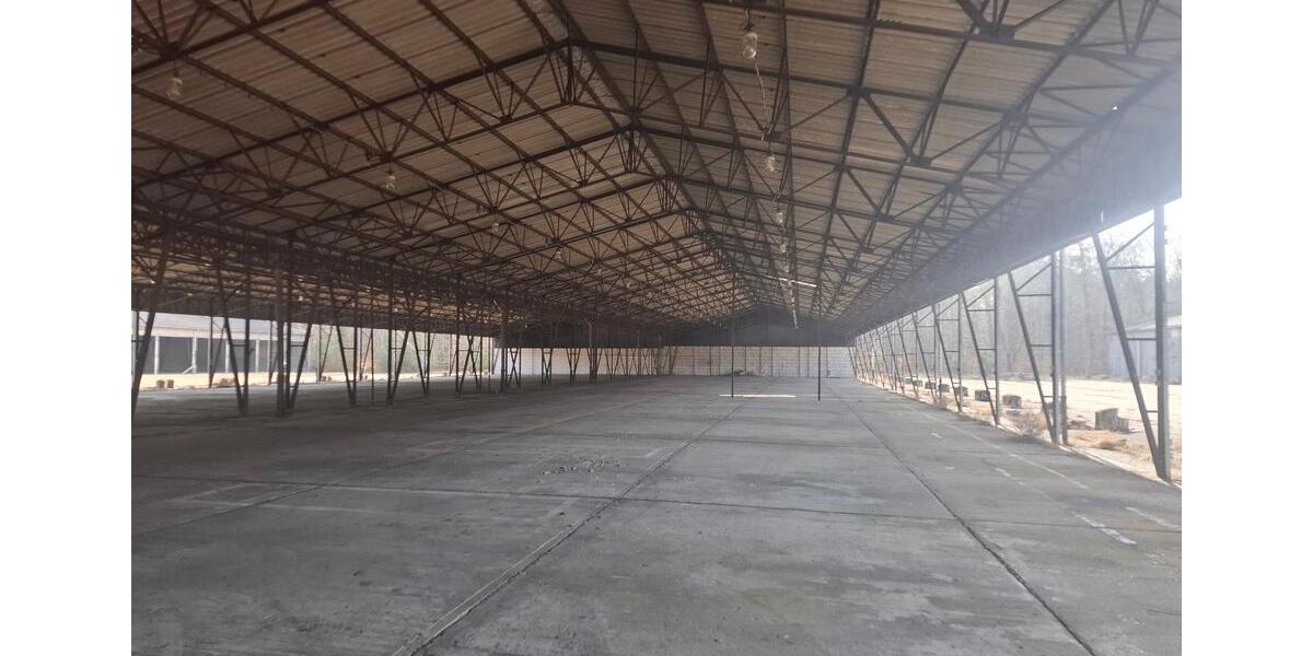 Gewerbeobjekt Sternberg - 1.003&euro; | Angebot:15999492