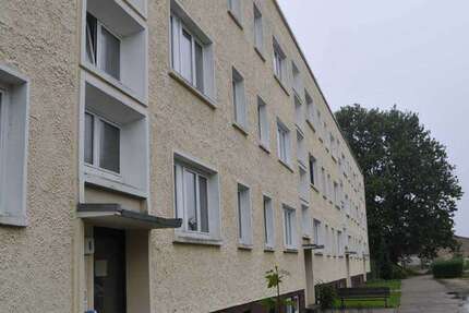 Wohnung zum Mieten in Petkus 380 € 63 m² 3 zimmer