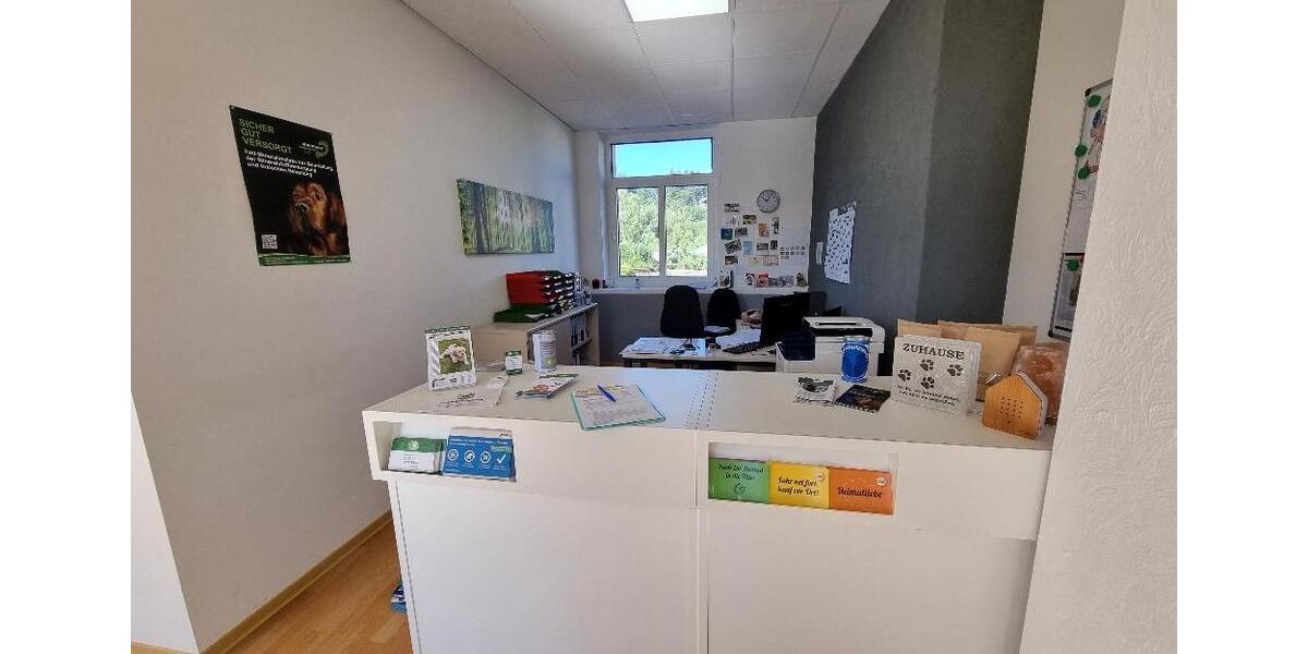 Etagenwohnung Waldfischbach-Burgalben Burgalben - 6 Zimmer, 328 m&sup2;, 1.476&euro; | Angebot:18356784