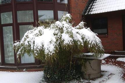 Erdgeschosswohnung 3ZKB Miete Wohnung EG 3 zimmer