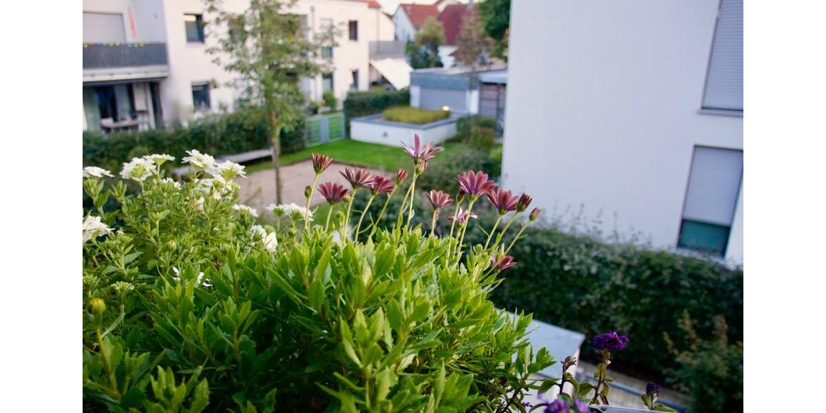 Etagenwohnung Neumarkt in der Oberpfalz Altenhof - 2 Zimmer, 60 m&sup2;, 780&euro; | Angebot:26502804